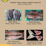 Informasi Harga Ikan di Pasar Ikan Namlea Pada Bulan Ramadhan 1445 H